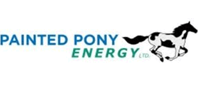 Painted Pony